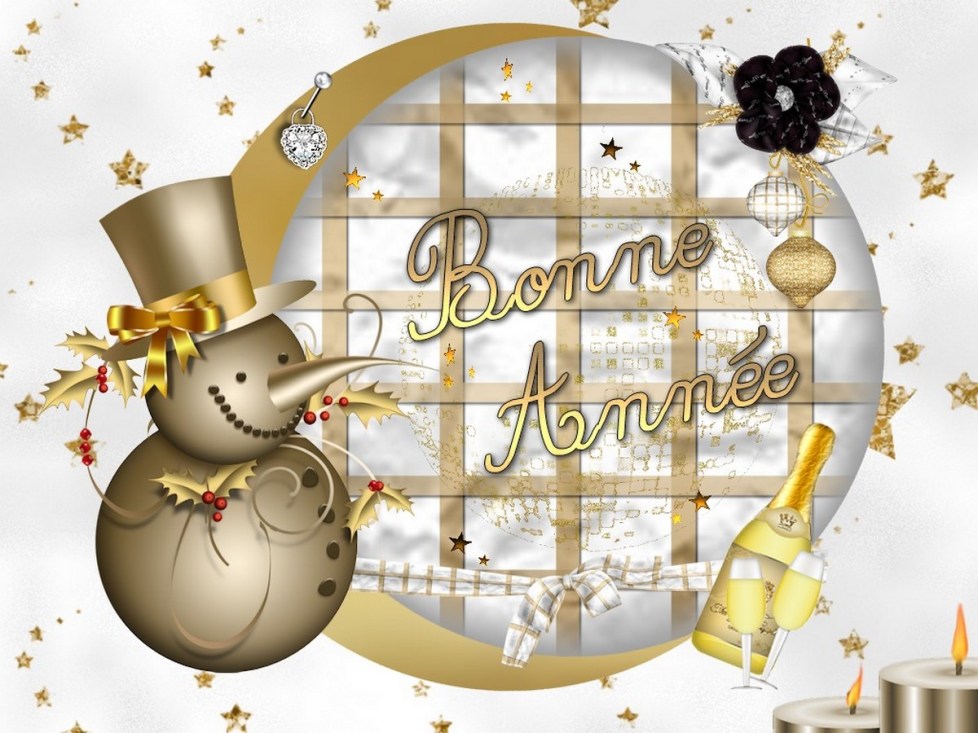 Bonne année !!