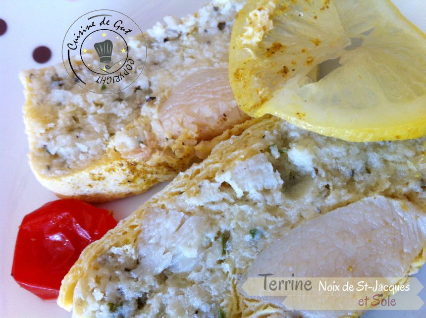 Terrine Noix de St-jacques et sole 5