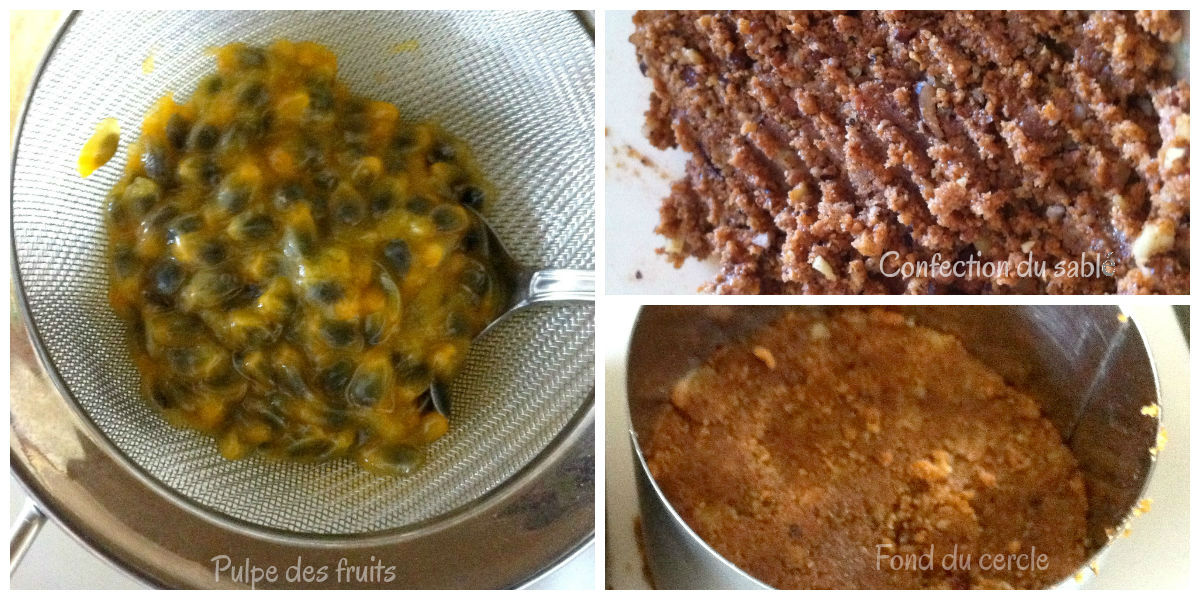 Panna cotta fruitspassion collage