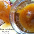 Confiture rhubarbe abricots épices pain&nbsp;d&rsquo;épices1