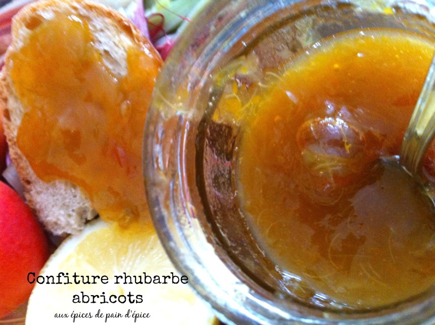 Confiture rhubarbe abricots épices pain d'épices1