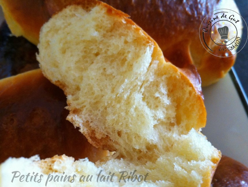 Petits pains au lait ribot 1