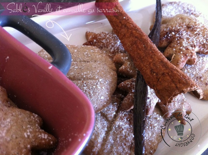 Sablés vanille cannelle au sarrasin1
