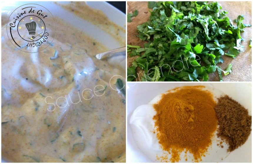 Sauce coriandre2