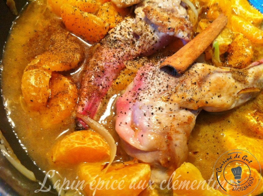 Lapin épicé auxclémentines 1