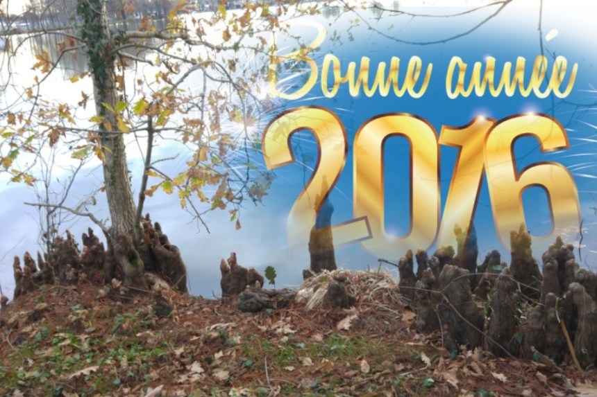 BONNE-ANNEE-2016