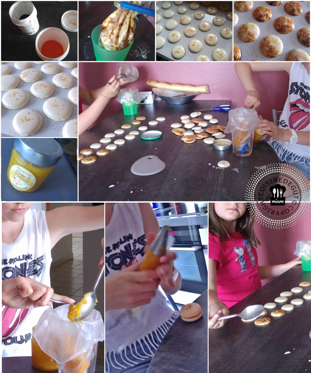 Macarons aux calissons2