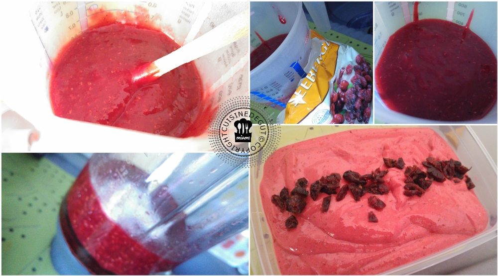 Sorbet framboises et cranberries2