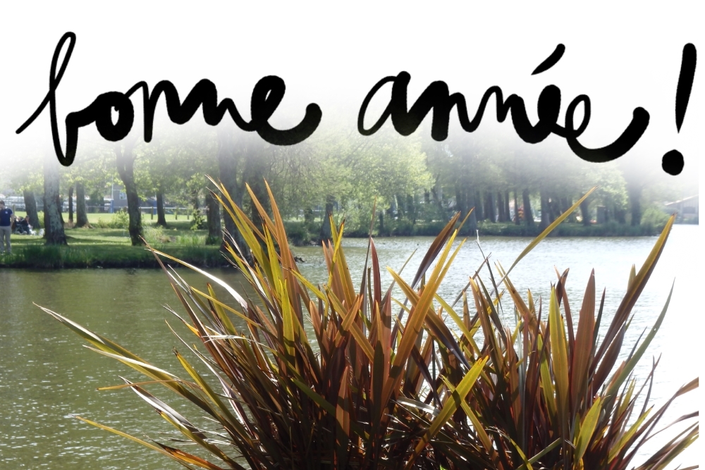 bonne-annee-collage