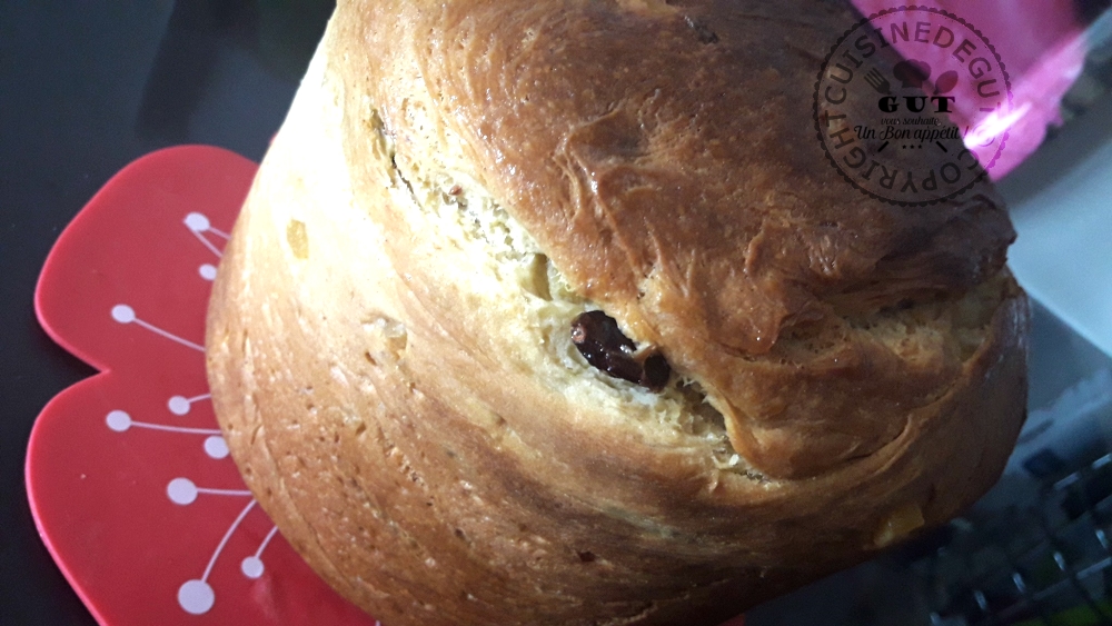 panettne-cranberries-et-oranges-confites